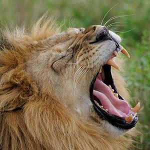 Meet your Posher, Pritesh